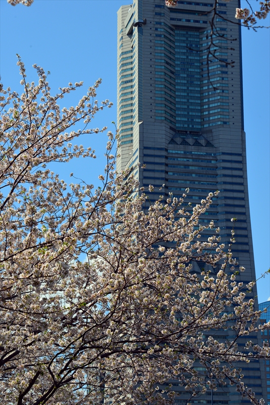 1070_なとみらい_神奈川