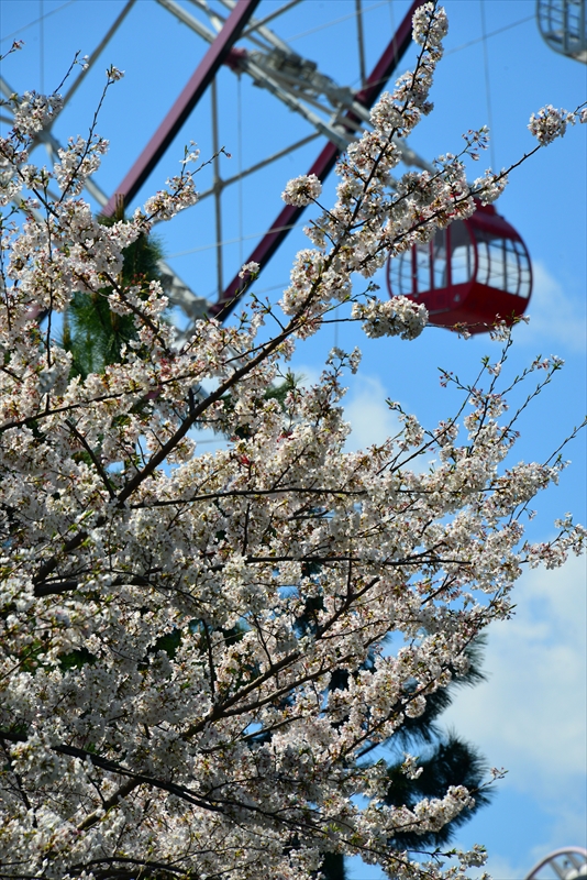 1071_なとみらい_神奈川