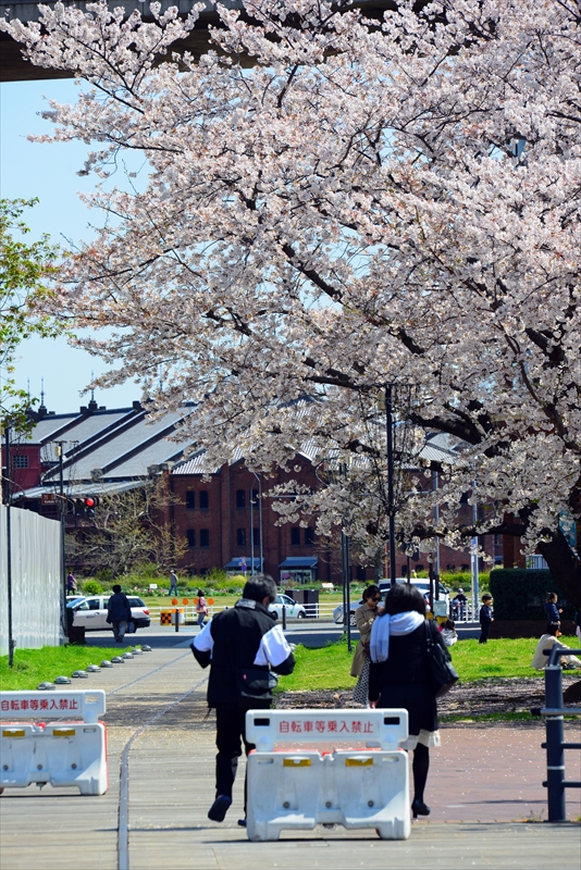 1083_なとみらい_神奈川