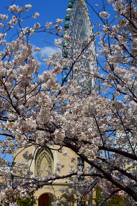 1087_なとみらい_神奈川