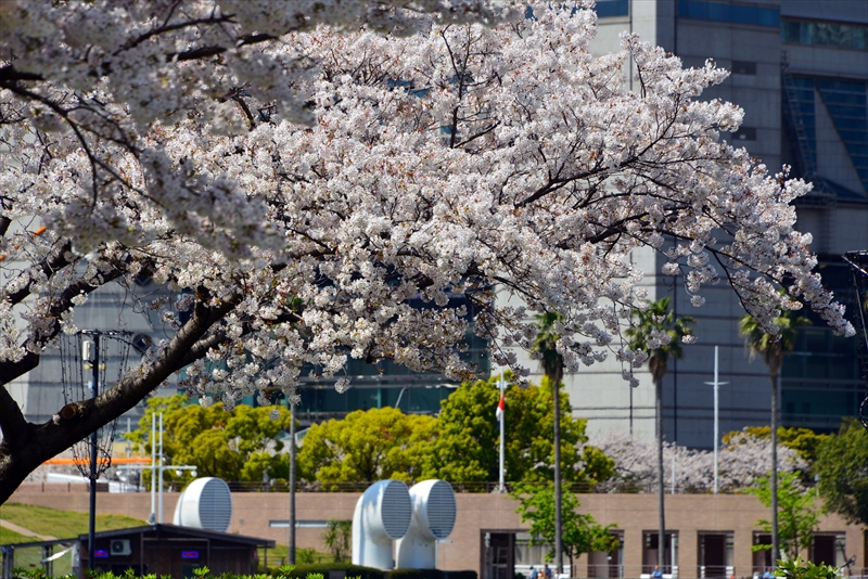 1088_なとみらい_神奈川