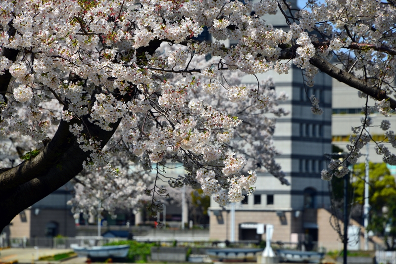 1089_なとみらい_神奈川
