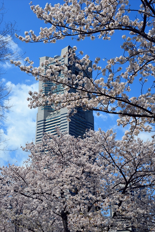 1090_なとみらい_神奈川