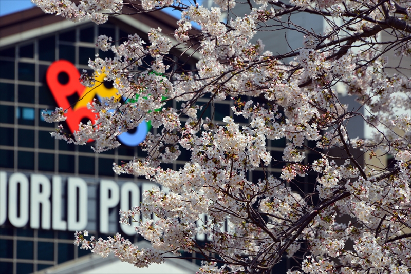 1095_なとみらい_神奈川