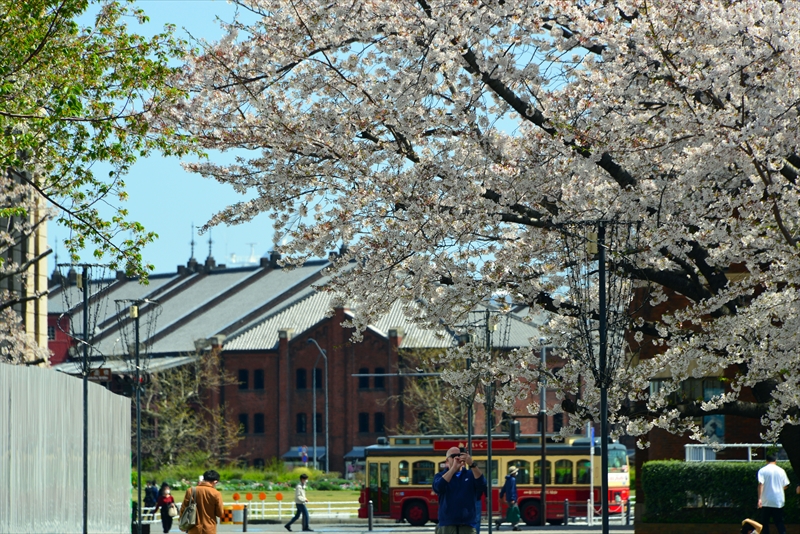 1099_なとみらい_神奈川