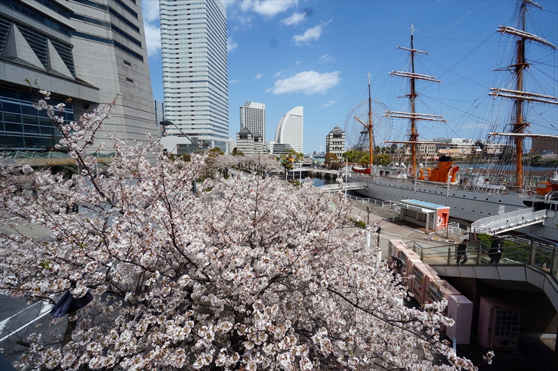 1112_なとみらい_神奈川