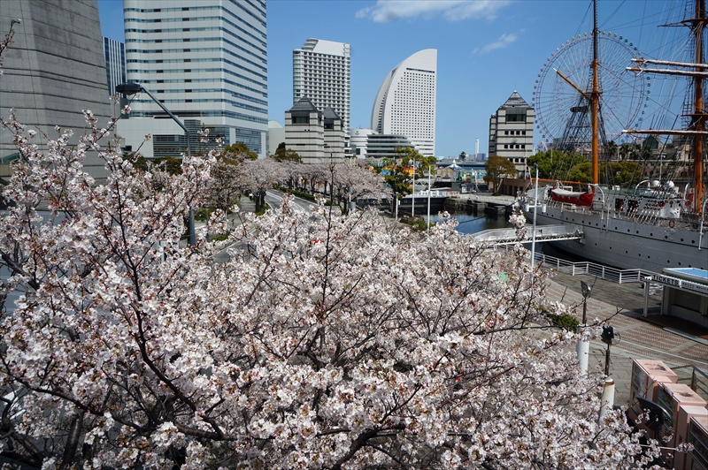 1113_なとみらい_神奈川
