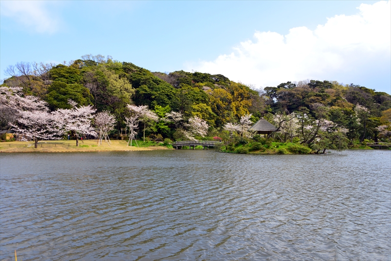 1138_三渓園_神奈川