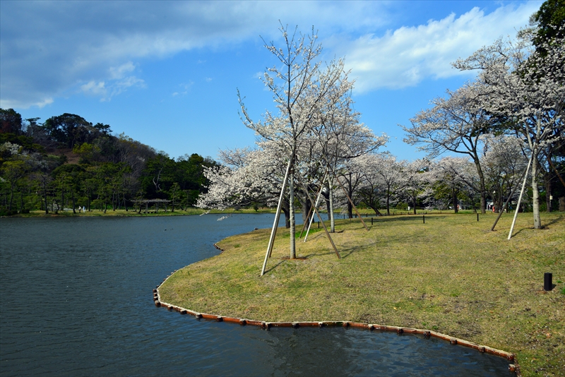 1144_三渓園_神奈川