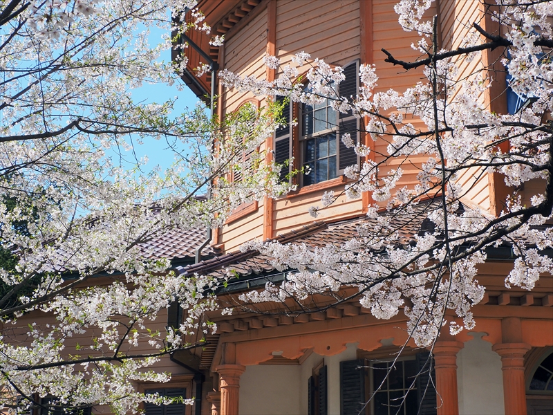 1049_山形市郷土館_山形