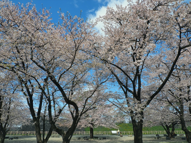 1010_霞城公園_山形