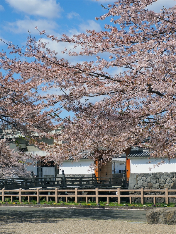 1012_霞城公園_山形