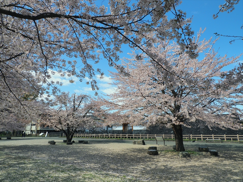 1013_霞城公園_山形
