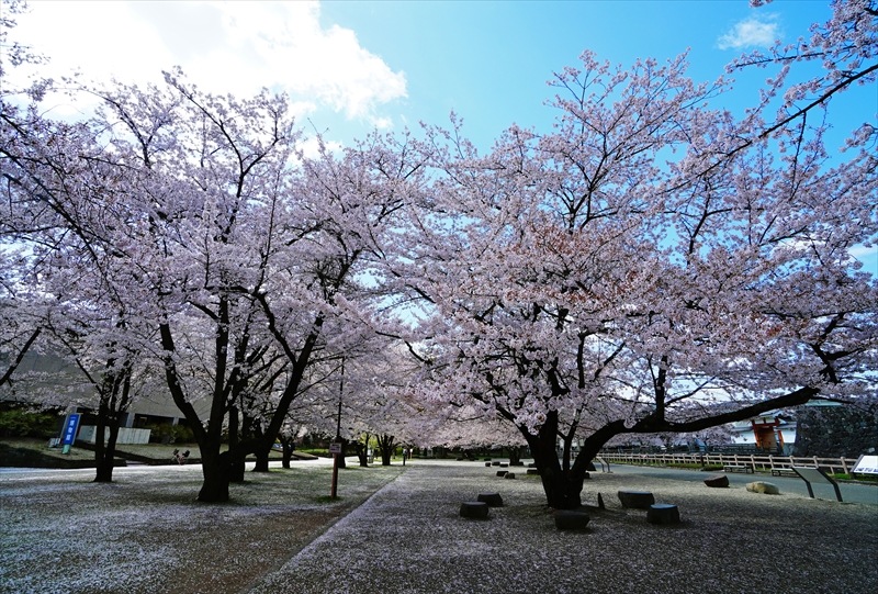 1014_霞城公園_山形