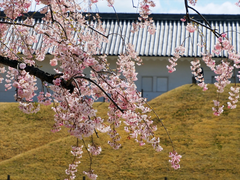 1017_霞城公園_山形