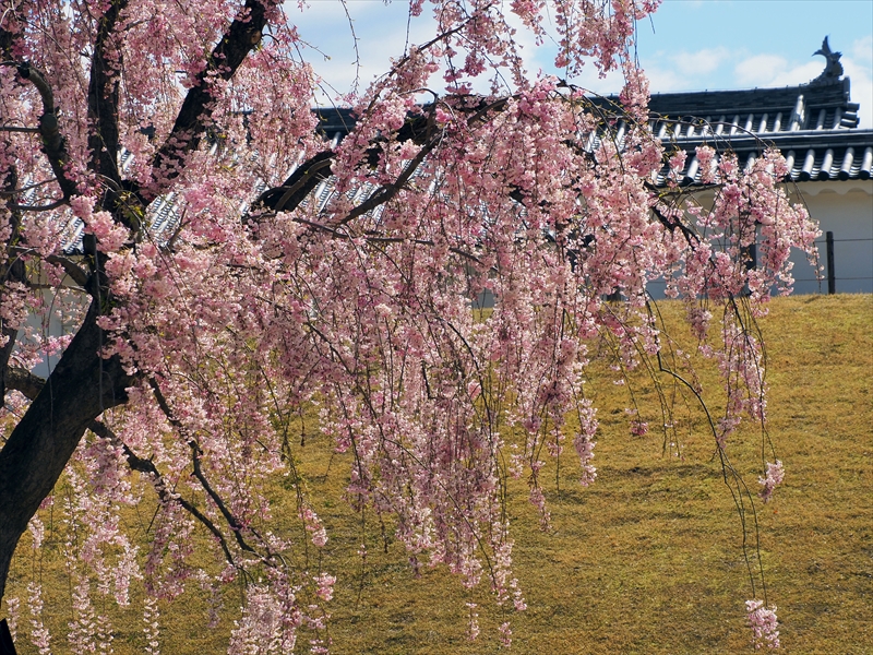 1018_霞城公園_山形