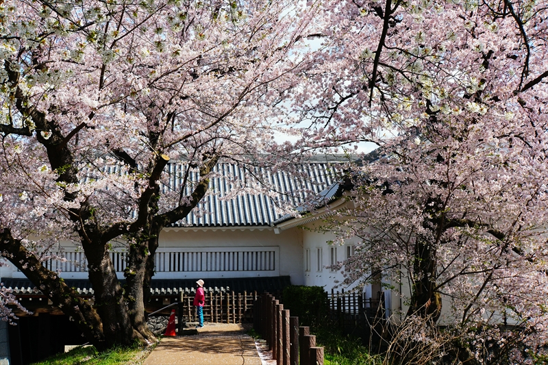 1023_霞城公園_山形