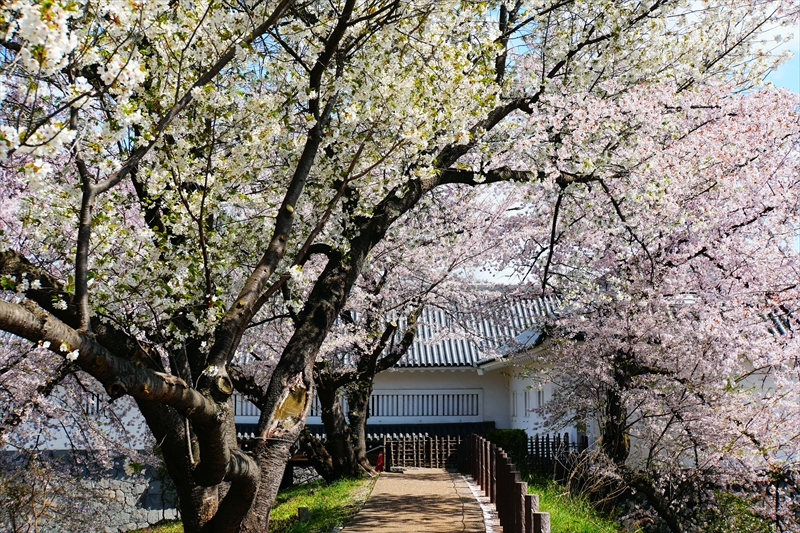 1025_霞城公園_山形