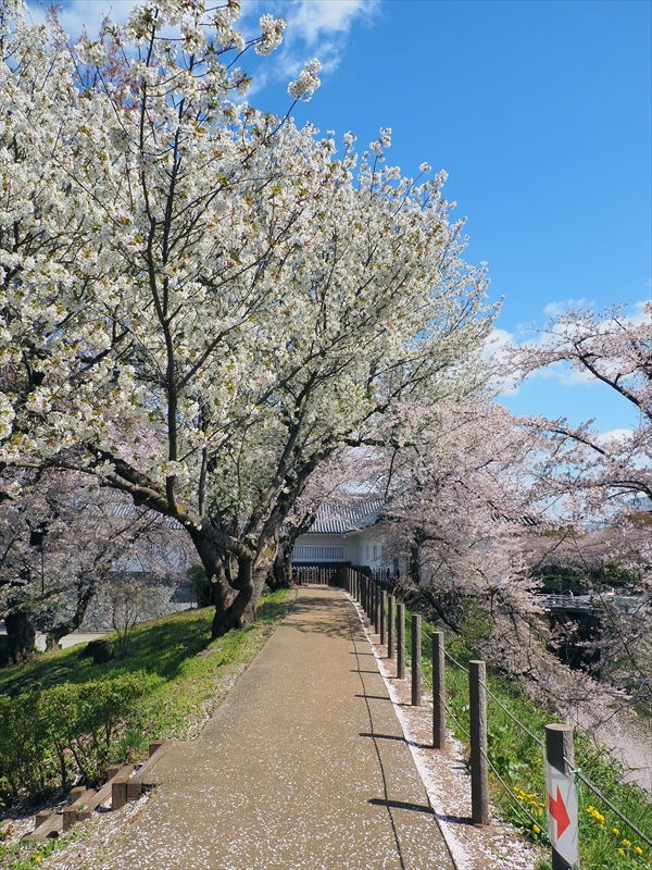 1026_霞城公園_山形
