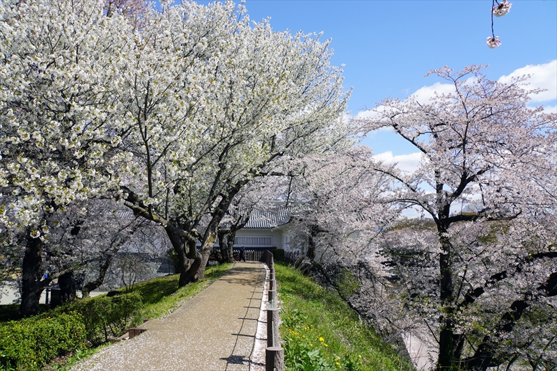 1027_霞城公園_山形