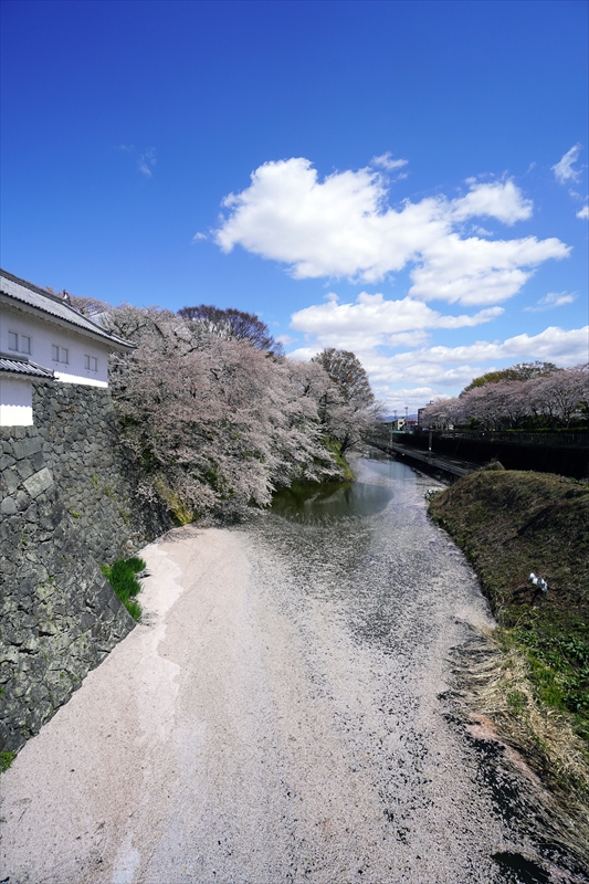 1030_霞城公園_山形