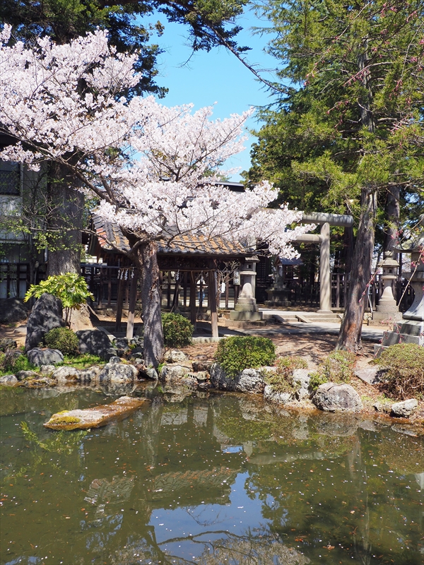 1050_上杉神社_山形