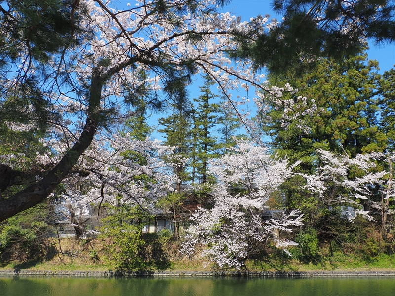 1052_上杉神社_山形
