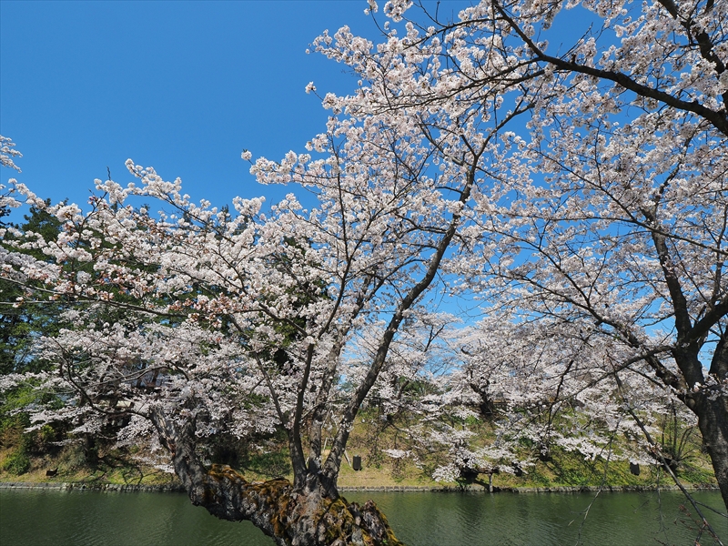 1054_上杉神社_山形