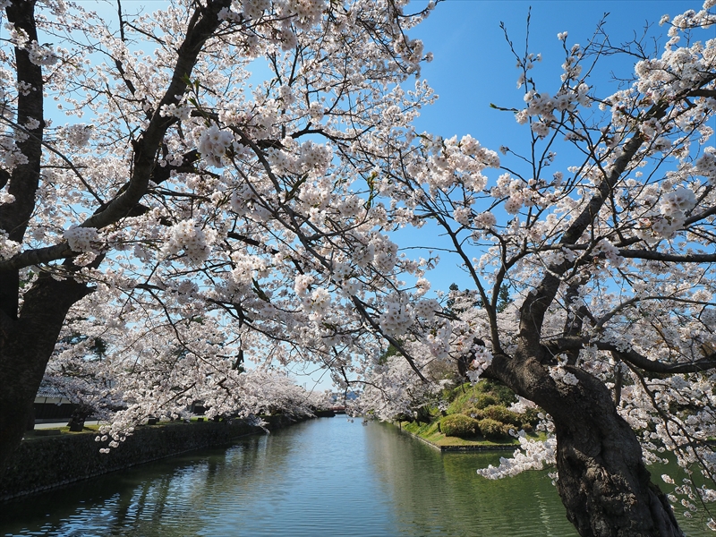 1056_上杉神社_山形