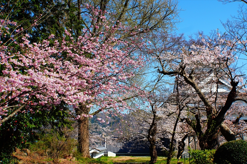 1094_上山城_山形