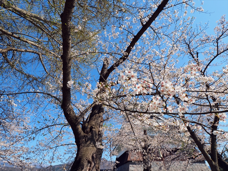 1097_上山城_山形