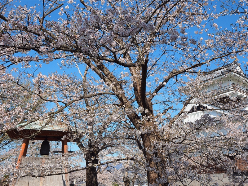 1098_上山城_山形