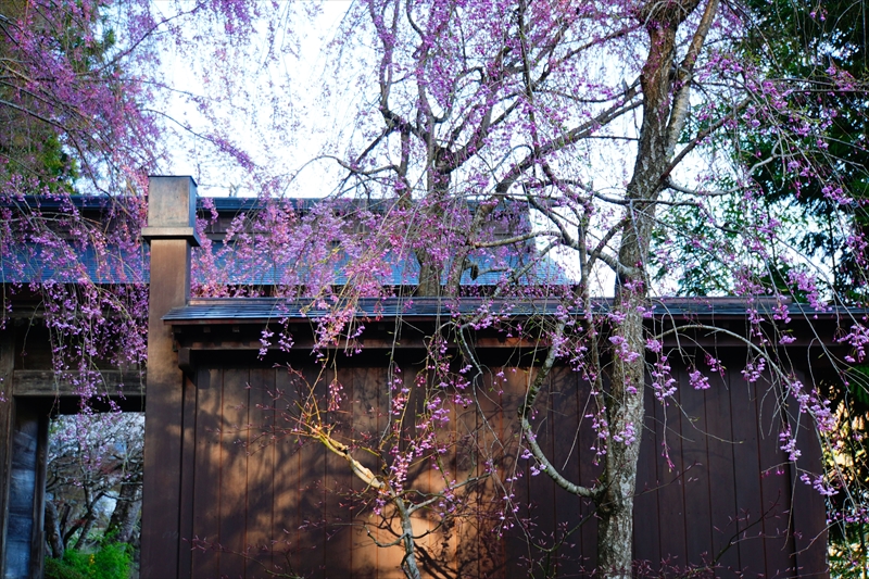 1102_立石寺本坊_山形