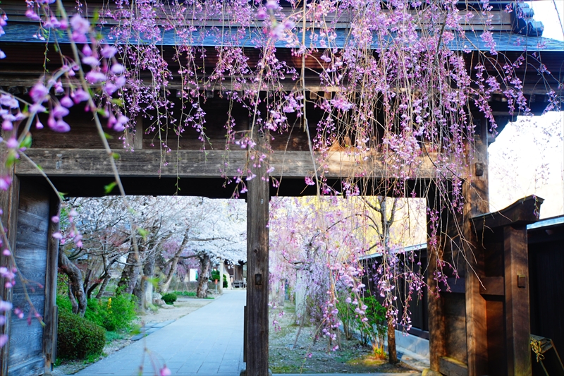 1103_立石寺本坊_山形