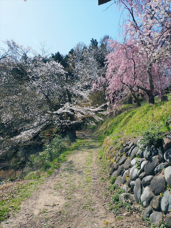 1069_天童公園（舞鶴山）_山形