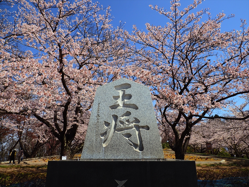 1076_天童公園（舞鶴山）_山形