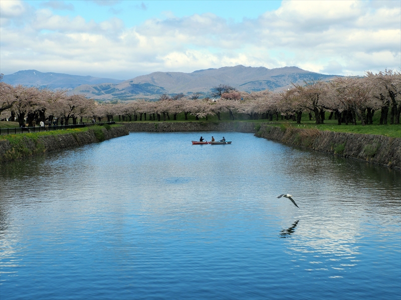 1094_函館五稜郭公園_北海道