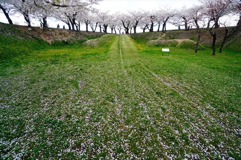1105_函館五稜郭公園_北海道