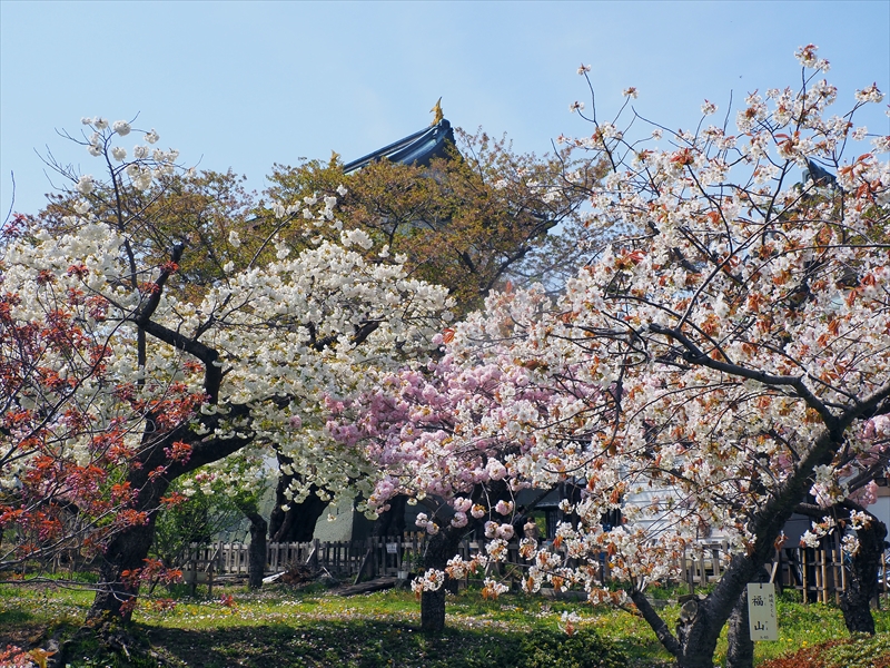 1019_松前城_北海道