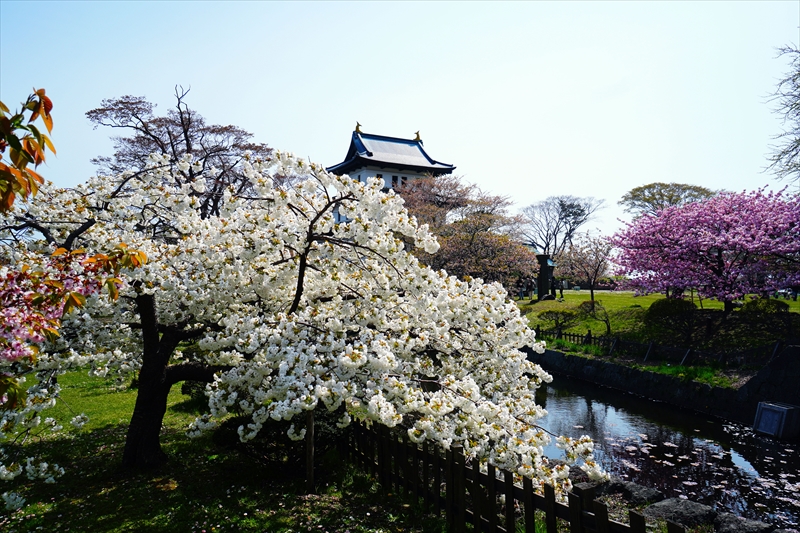 1020_松前城_北海道