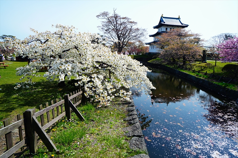 1022_松前城_北海道