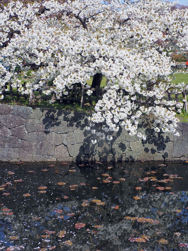 1023_松前城_北海道