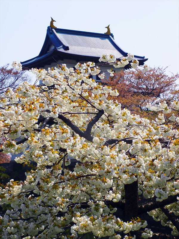 1026_松前城_北海道