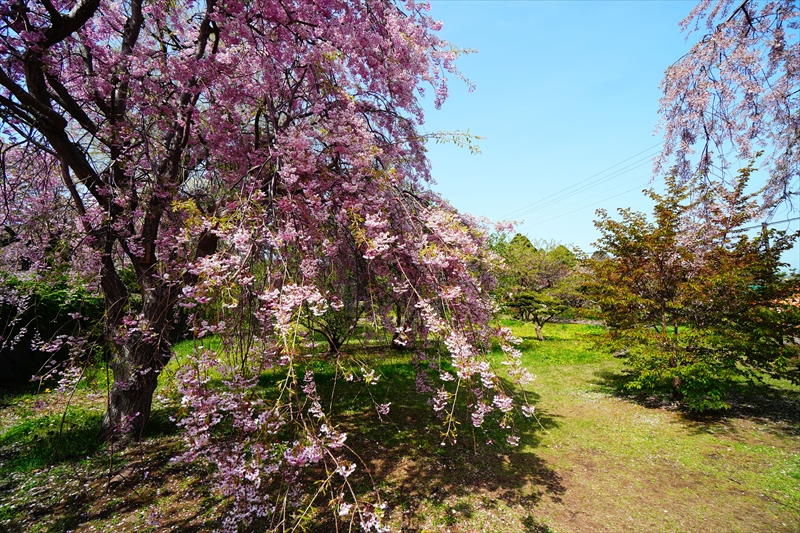 1027_松前城_北海道