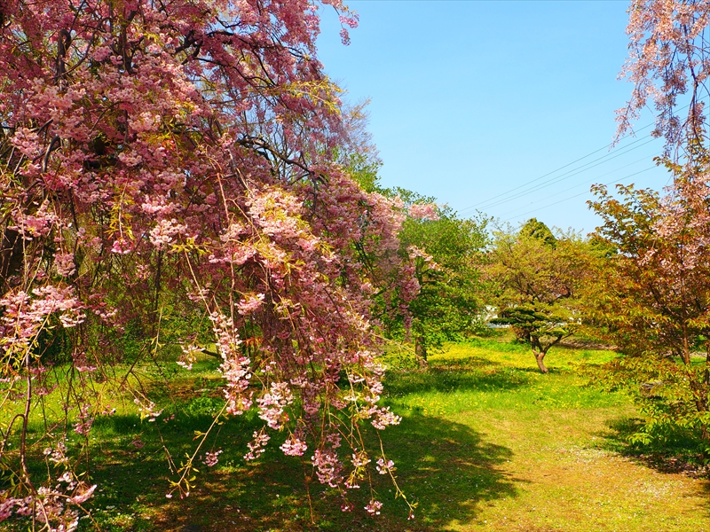1031_松前城_北海道