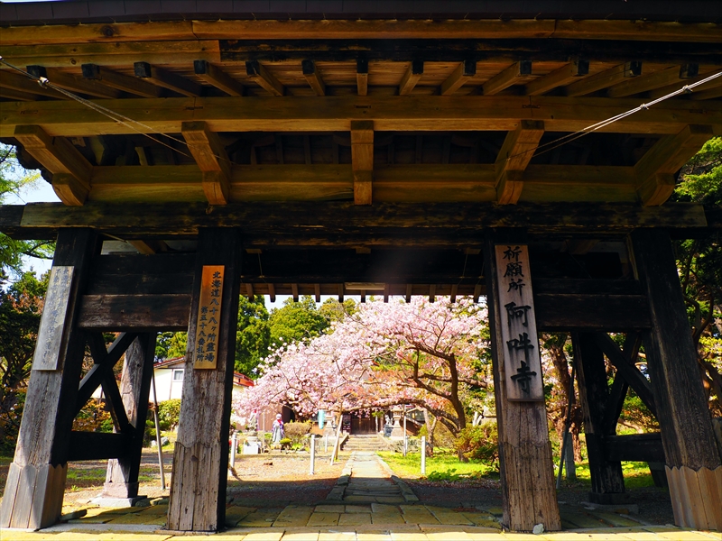 1033_松前城_北海道