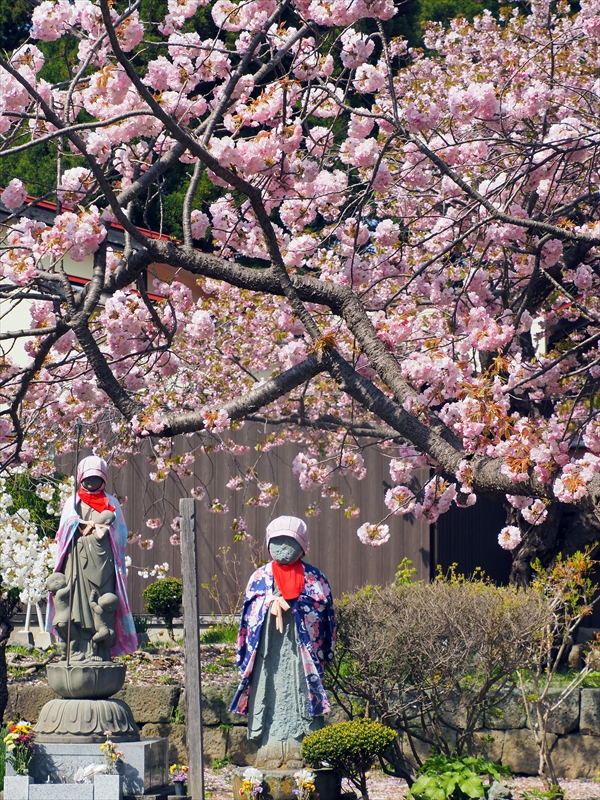 1034_松前城_北海道