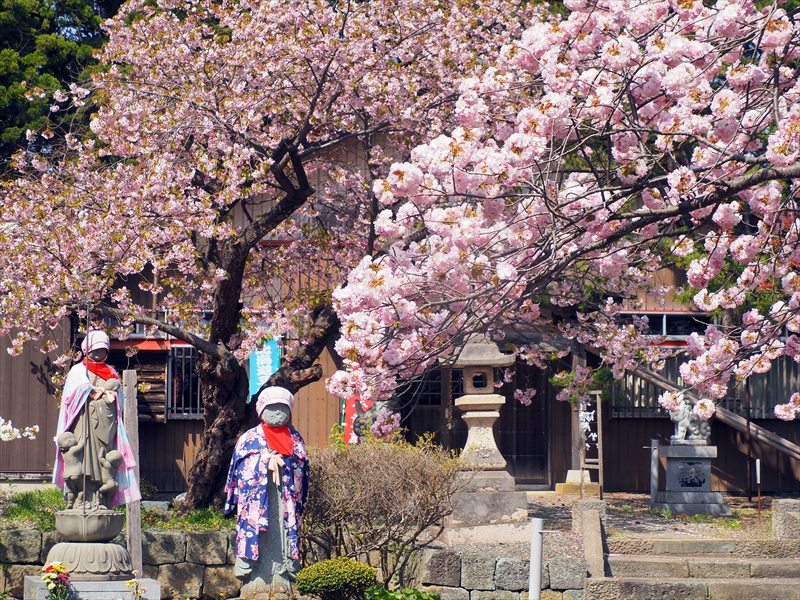 1035_松前城_北海道