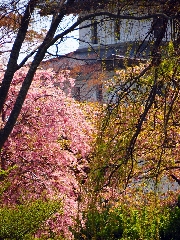 1038_松前城_北海道