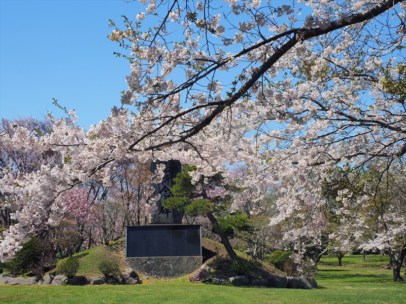 1052_八雲町さらんべ公園_北海道